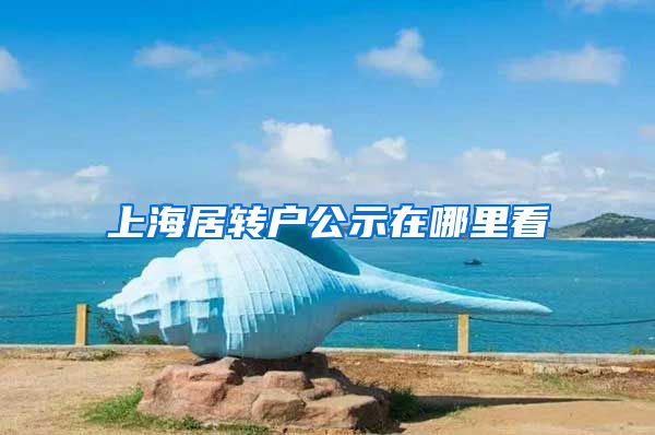 上海居转户公示在哪里看