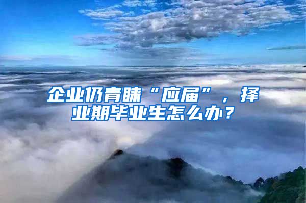 企业仍青睐“应届”，择业期毕业生怎么办？