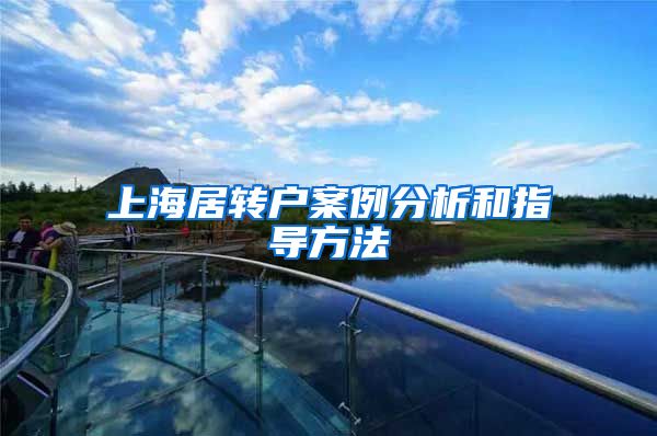 上海居转户案例分析和指导方法
