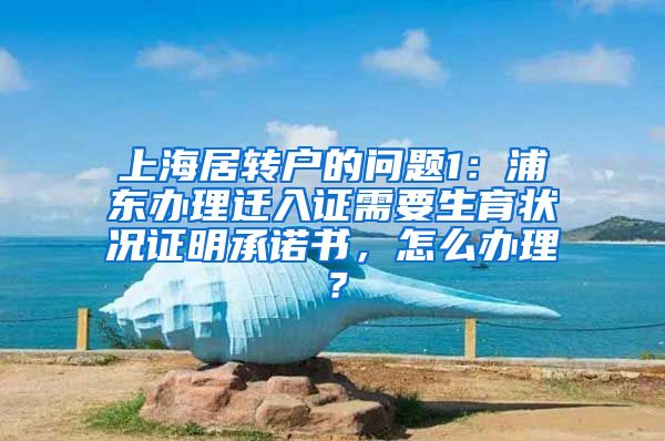 上海居转户的问题1：浦东办理迁入证需要生育状况证明承诺书，怎么办理？
