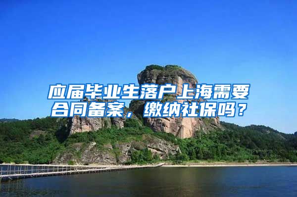应届毕业生落户上海需要合同备案，缴纳社保吗？