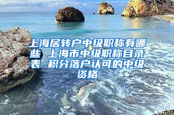上海居转户中级职称有哪些 上海市中级职称目录表 积分落户认可的中级资格