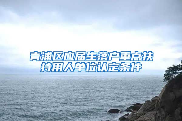 青浦区应届生落户重点扶持用人单位认定条件