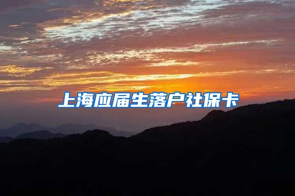 上海应届生落户社保卡