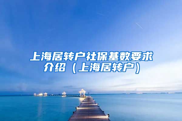 上海居转户社保基数要求介绍（上海居转户）