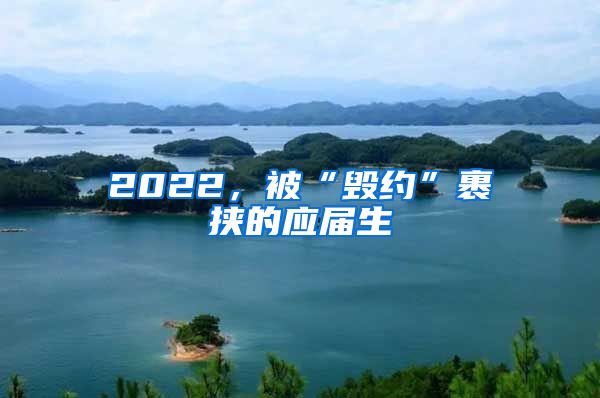 2022，被“毁约”裹挟的应届生
