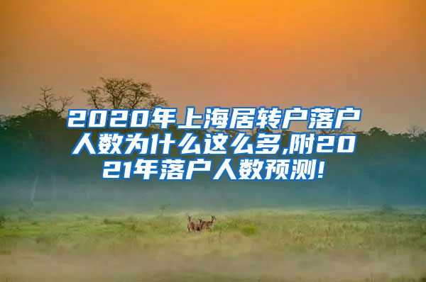 2020年上海居转户落户人数为什么这么多,附2021年落户人数预测!