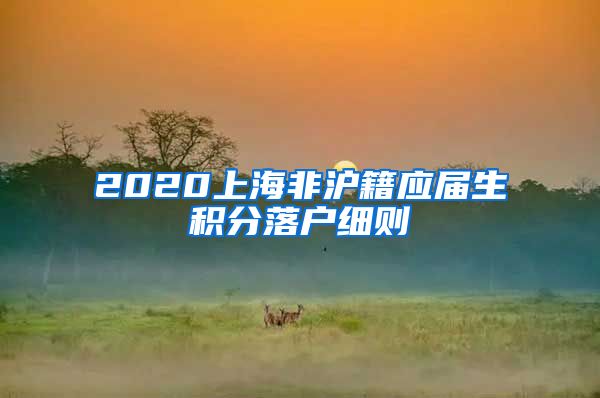 2020上海非沪籍应届生积分落户细则