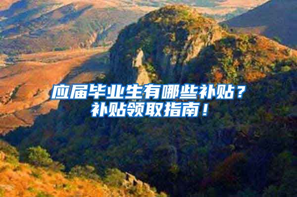应届毕业生有哪些补贴？补贴领取指南！