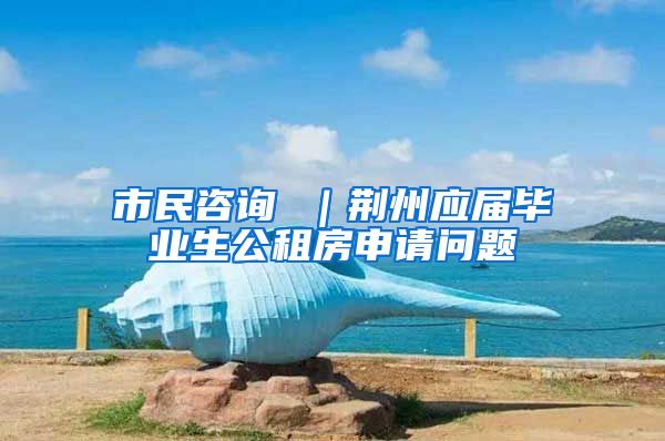 市民咨询 ｜荆州应届毕业生公租房申请问题