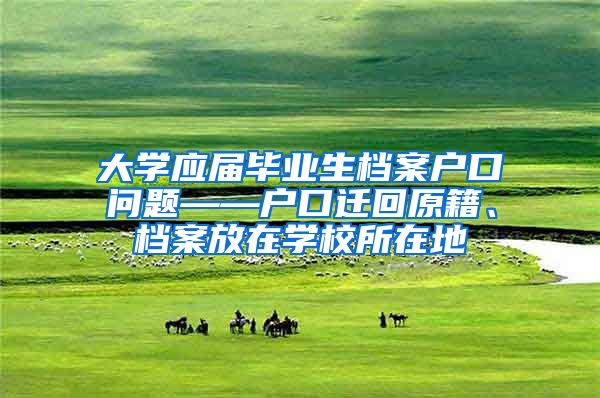 大学应届毕业生档案户口问题——户口迁回原籍、档案放在学校所在地