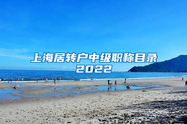 上海居转户中级职称目录2022