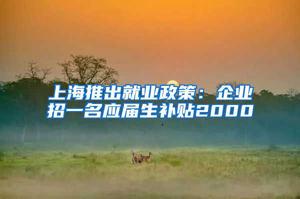 上海推出就业政策：企业招一名应届生补贴2000