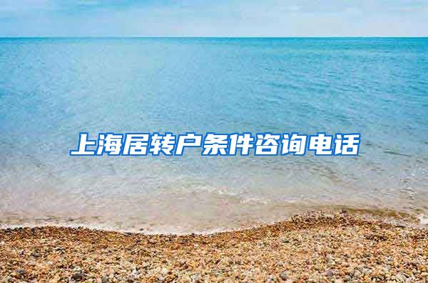 上海居转户条件咨询电话