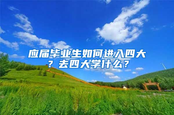 应届毕业生如何进入四大？去四大学什么？