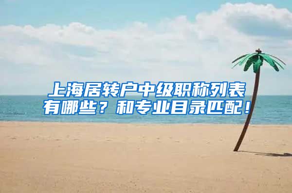 上海居转户中级职称列表有哪些？和专业目录匹配！