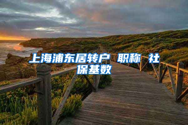 上海浦东居转户 职称 社保基数