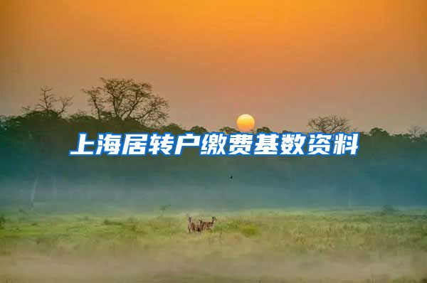 上海居转户缴费基数资料