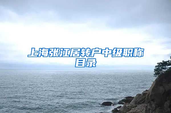 上海张江居转户中级职称目录