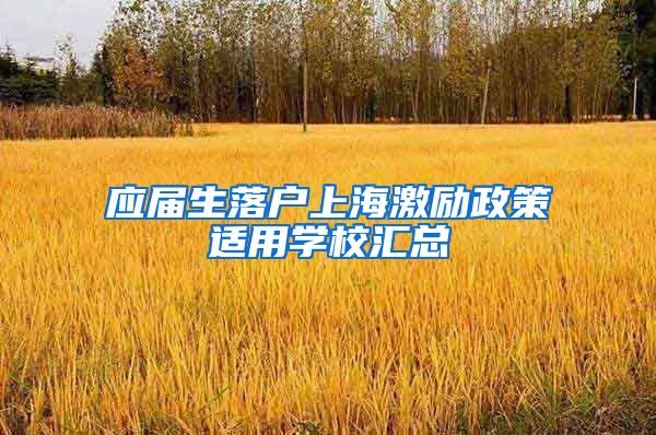应届生落户上海激励政策适用学校汇总