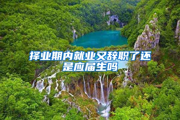 择业期内就业又辞职了还是应届生吗