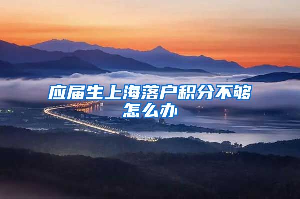 应届生上海落户积分不够怎么办
