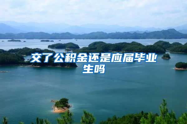 交了公积金还是应届毕业生吗