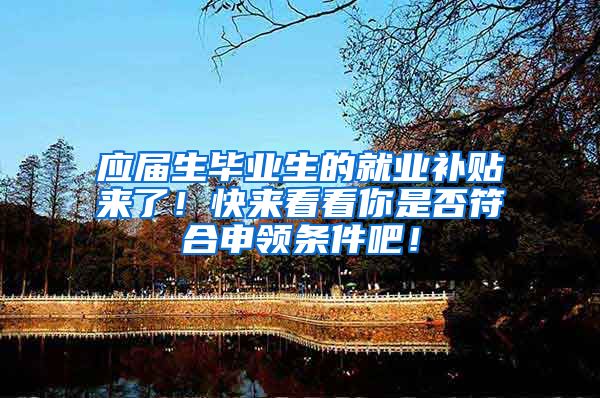应届生毕业生的就业补贴来了！快来看看你是否符合申领条件吧！