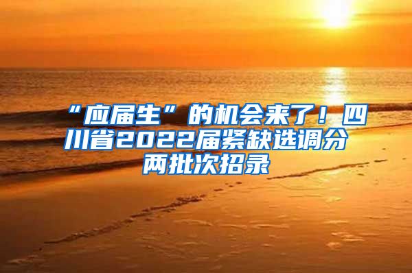 “应届生”的机会来了！四川省2022届紧缺选调分两批次招录