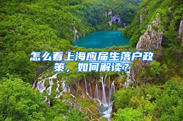 怎么看上海应届生落户政策，如何解读？