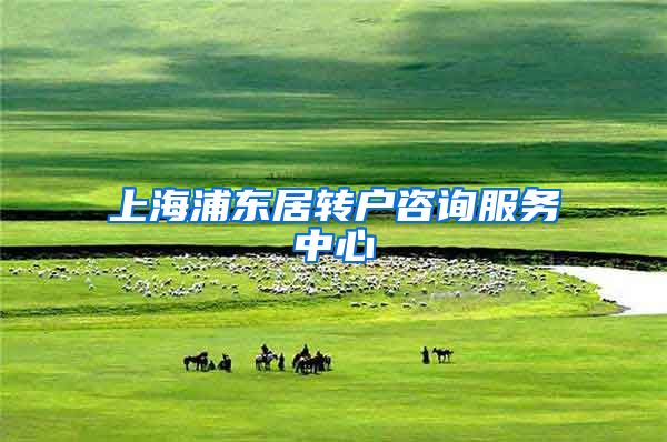 上海浦东居转户咨询服务中心