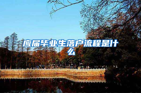 应届毕业生落户流程是什么