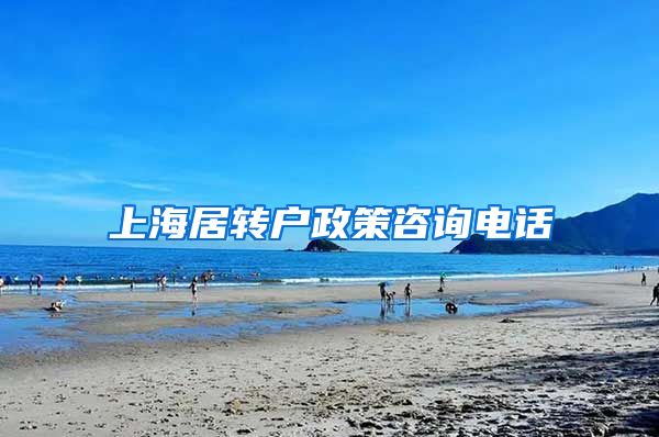 上海居转户政策咨询电话