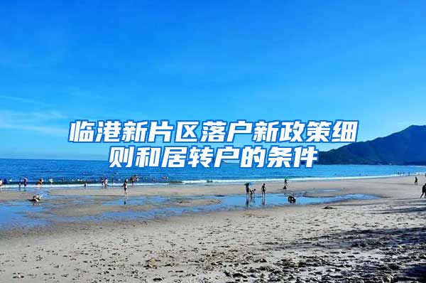 临港新片区落户新政策细则和居转户的条件