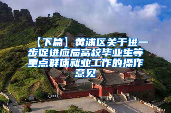 【下篇】黄浦区关于进一步促进应届高校毕业生等重点群体就业工作的操作意见