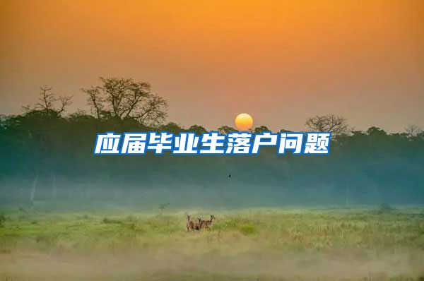 应届毕业生落户问题