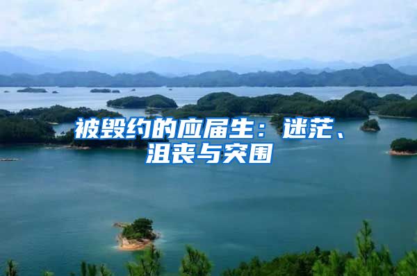 被毁约的应届生：迷茫、沮丧与突围