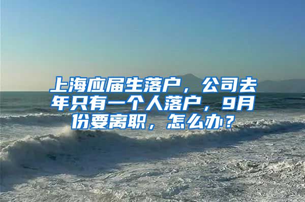 上海应届生落户，公司去年只有一个人落户，9月份要离职，怎么办？