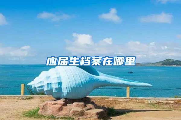 应届生档案在哪里