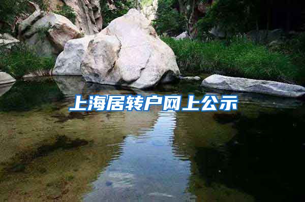 上海居转户网上公示