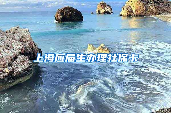 上海应届生办理社保卡