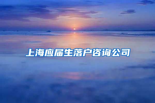 上海应届生落户咨询公司