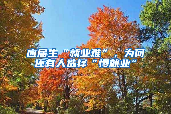 应届生“就业难”，为何还有人选择“慢就业”