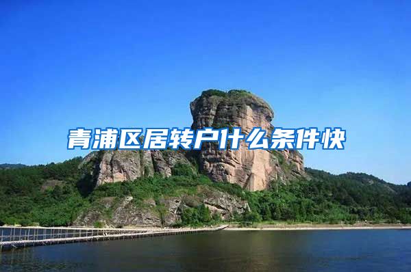 青浦区居转户什么条件快