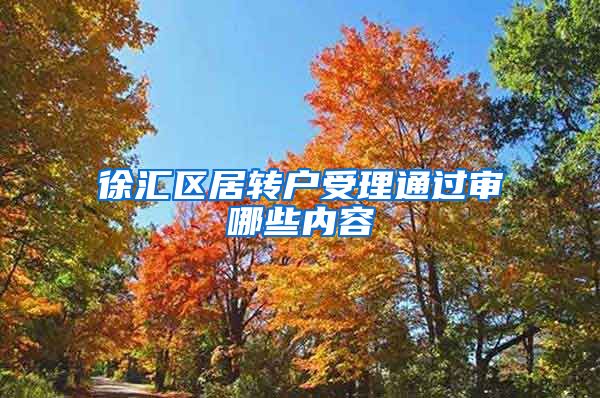 徐汇区居转户受理通过审哪些内容