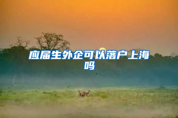 应届生外企可以落户上海吗