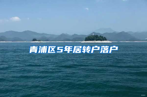 青浦区5年居转户落户