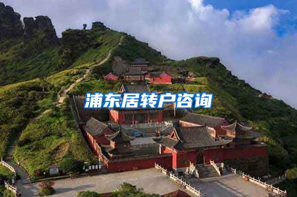 浦东居转户咨询