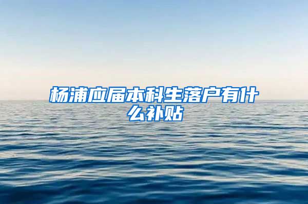 杨浦应届本科生落户有什么补贴