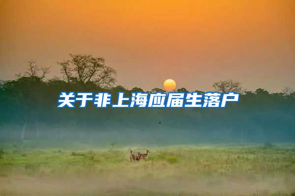 关于非上海应届生落户